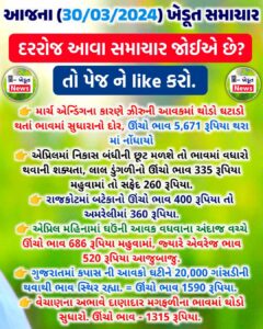 aajna bajar bhav 2024