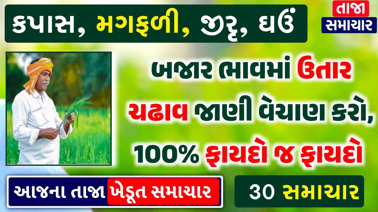 today gujarat ampc rate