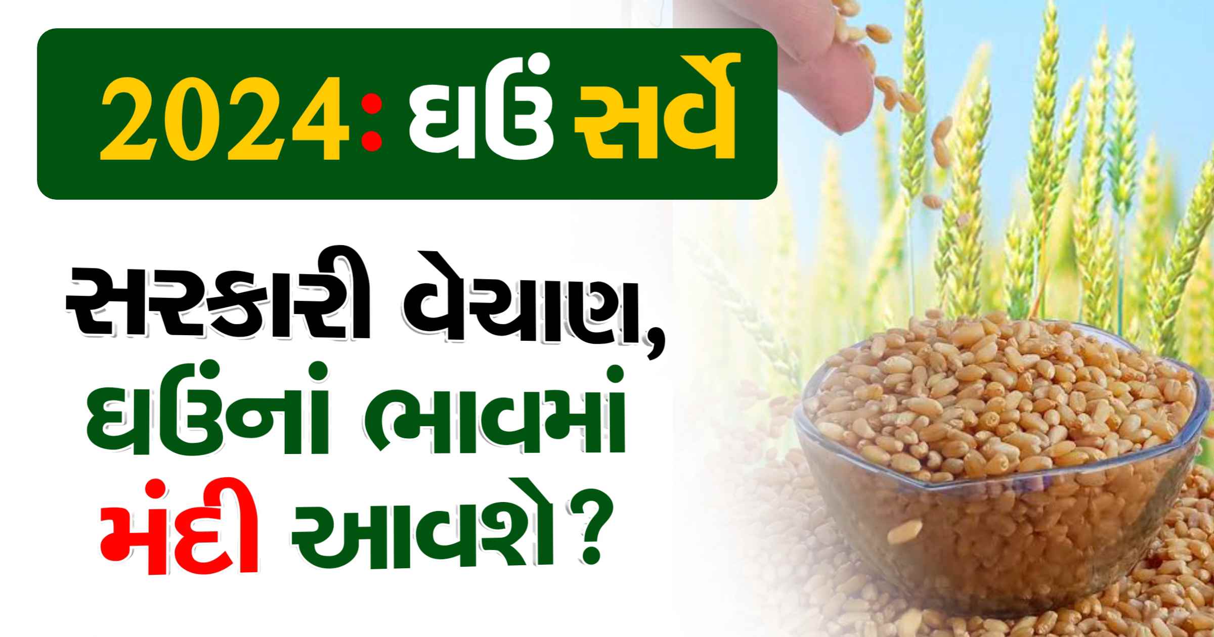આજના ઘઉં ના ભાવ