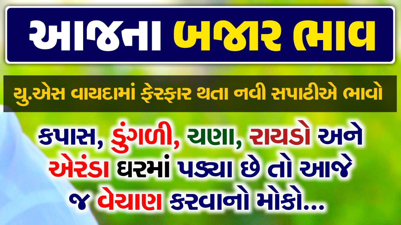Cotton Dugali price