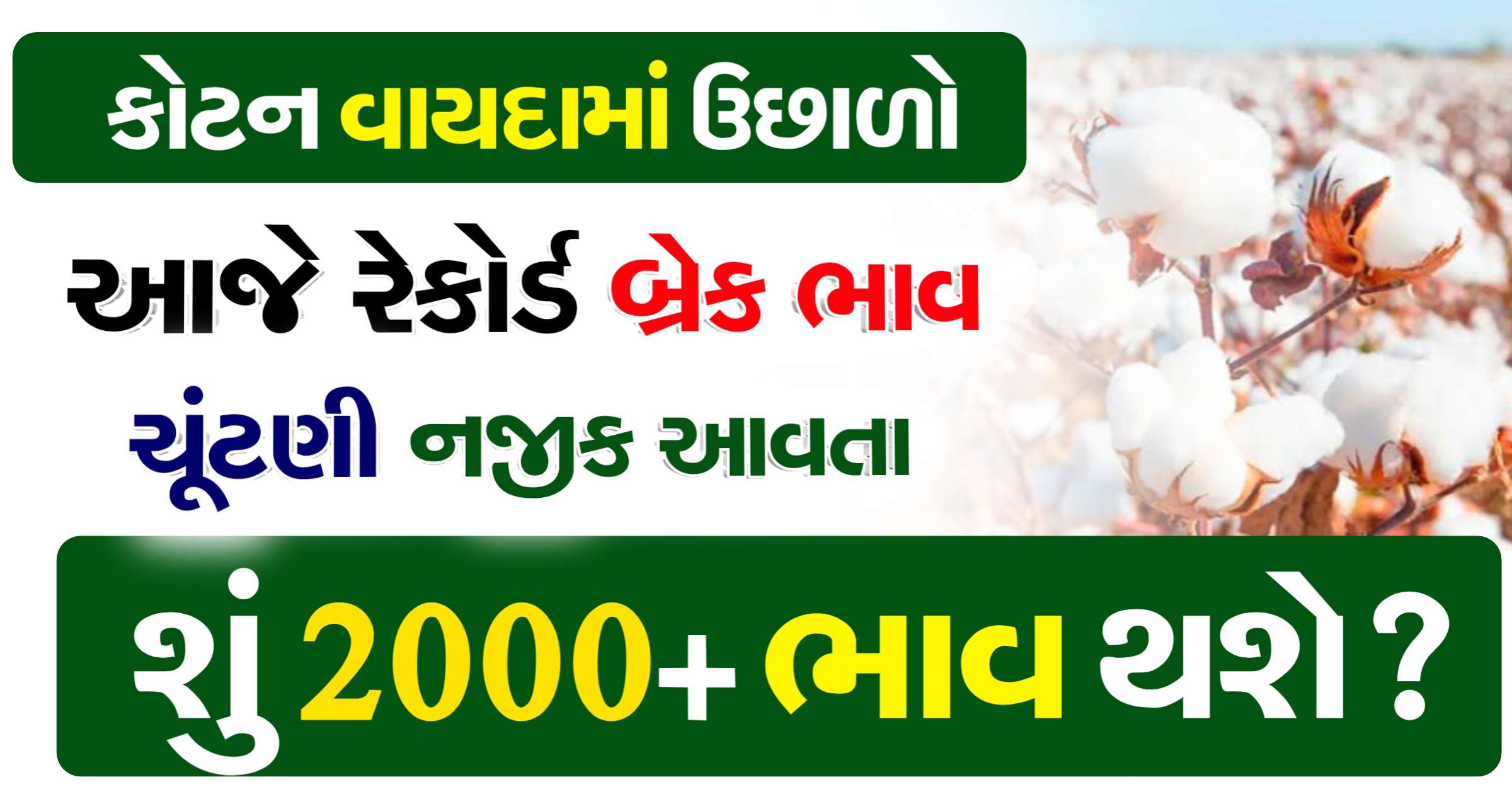 cotton price 2024