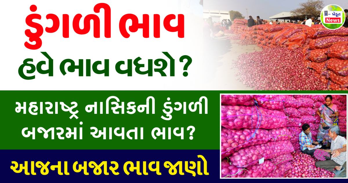Gujarat Onions Price