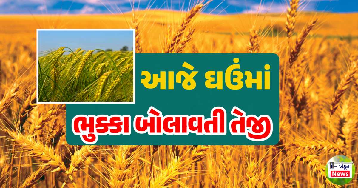 Ghau bajar bhav
