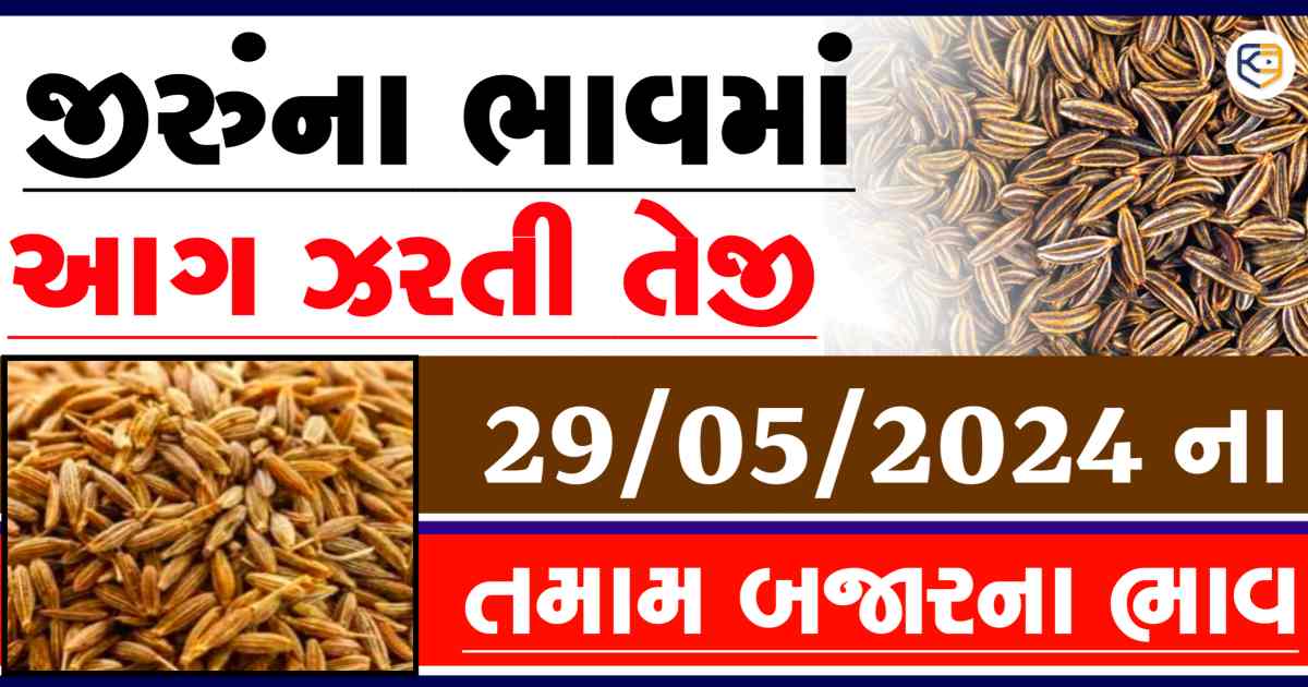 Jiru na bajar bhav 29 may