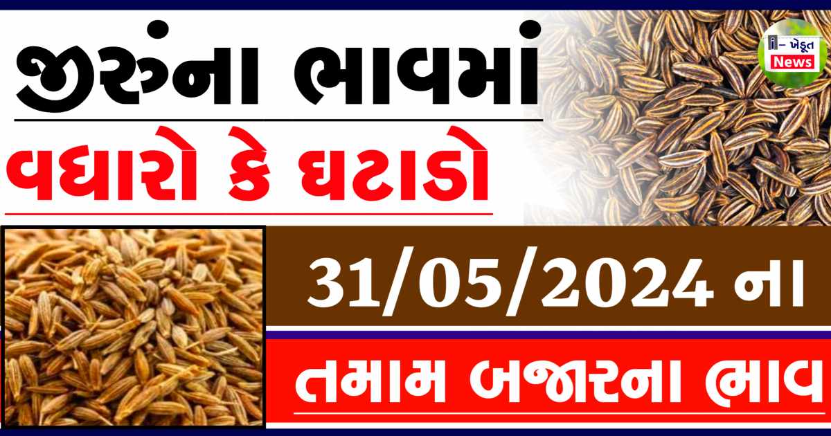Jiru bajar bhav 31 may