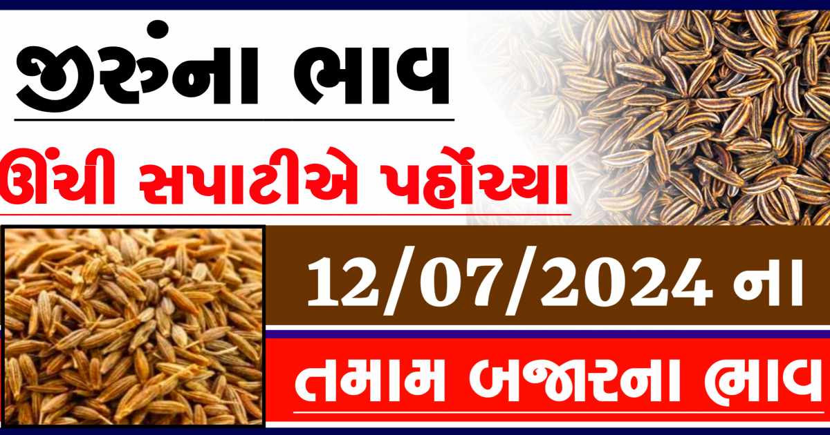 Jiru na bajar bhav 12 July