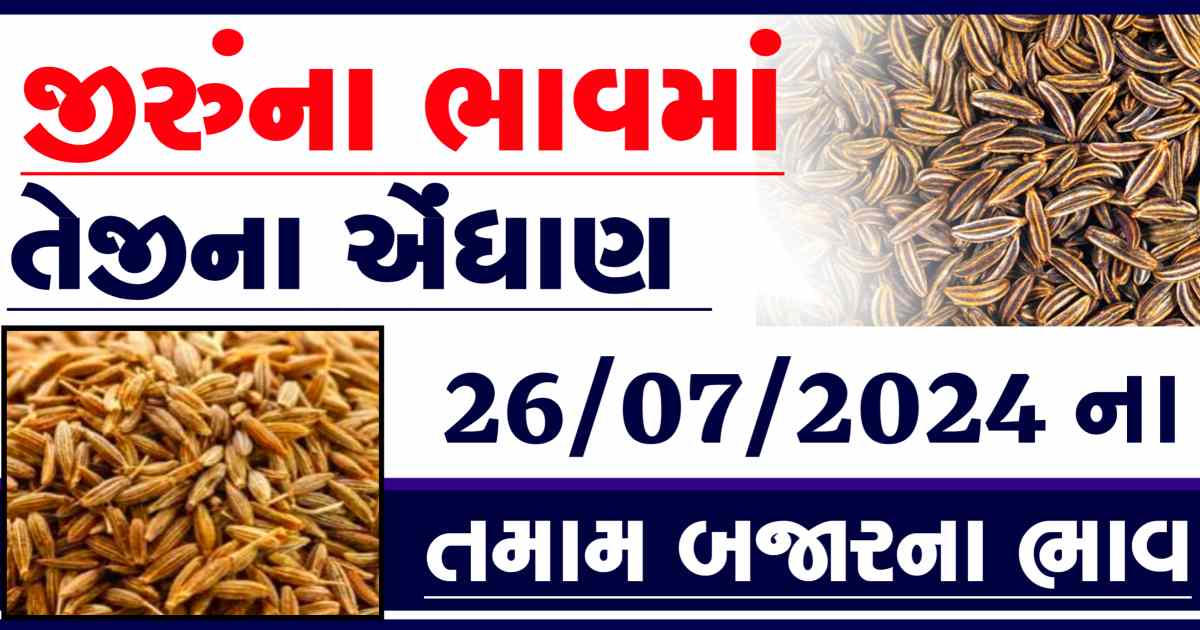 Jiru na bajar bhav 26 July
