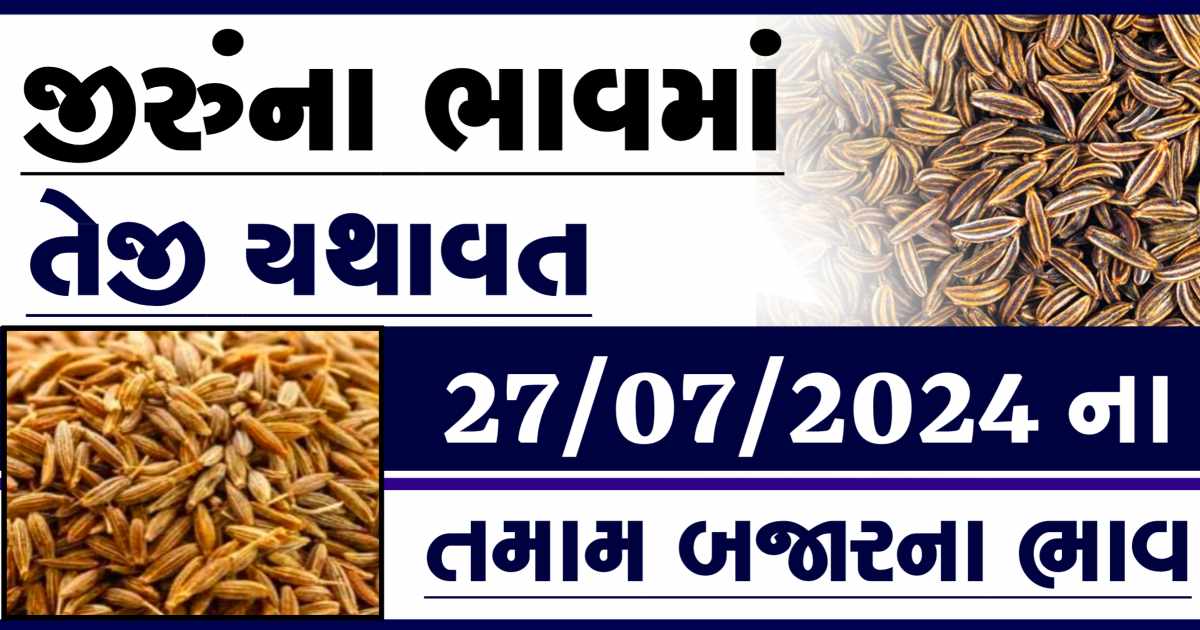 Jiru na bajar bhav 27 july
