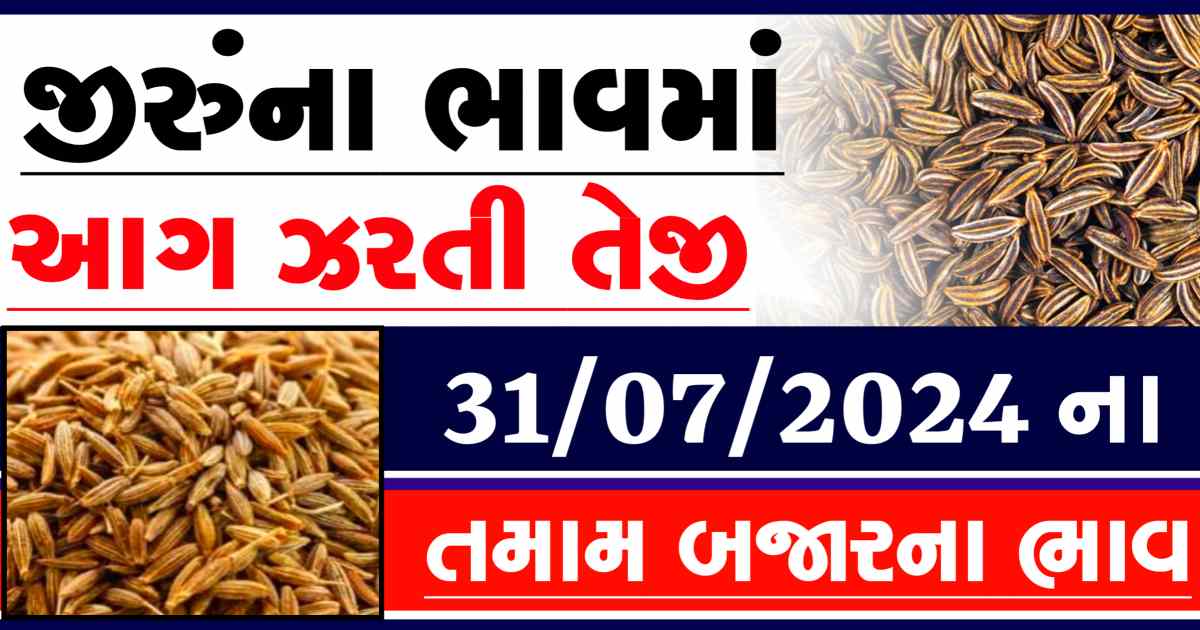 Jiru na bajar bhav 31 July