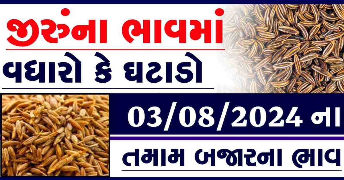 Jiru na bajar bhav 3 August