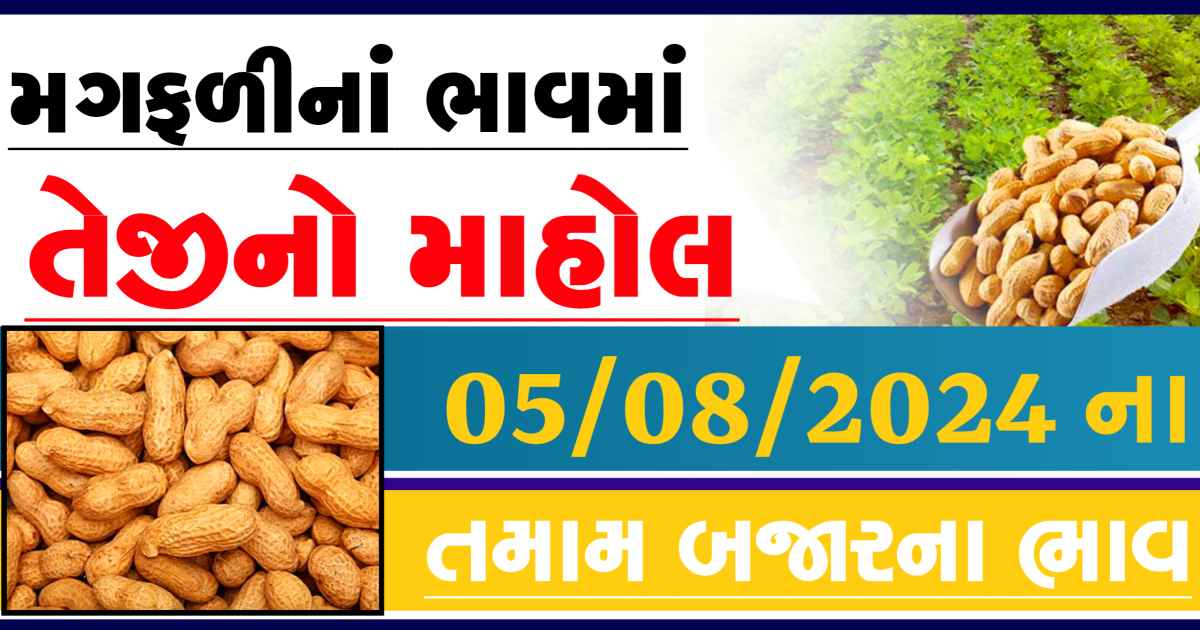Magfali na bajar bhav 05 August