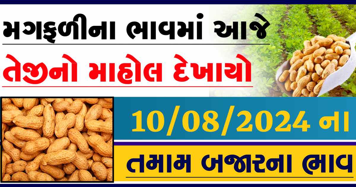 Magfali na bajar bhav 10 August