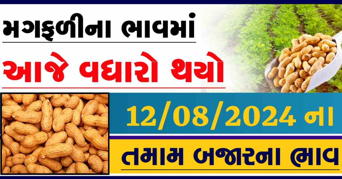 Magfali na bajar bhav 12 August