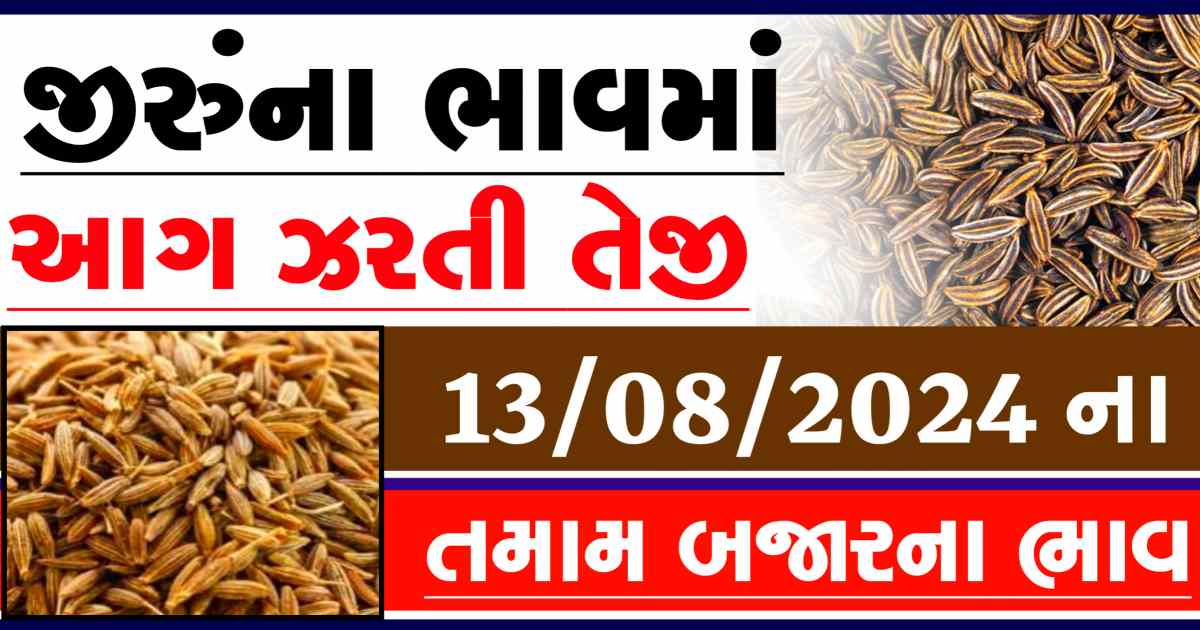 Jiru na bajar bhav 13 August