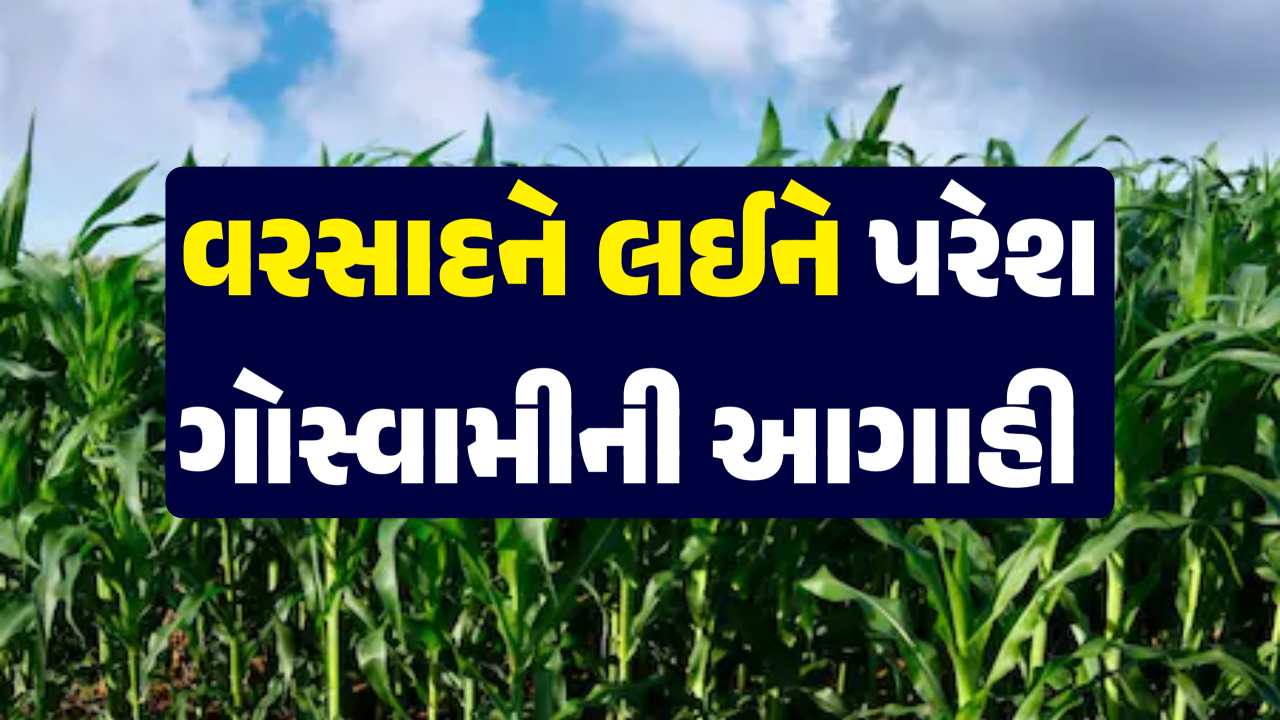 Paresh Gauswami 14 August forcast