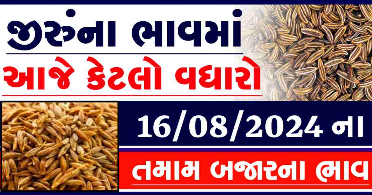 Jiru na bajar bhav 16 August
