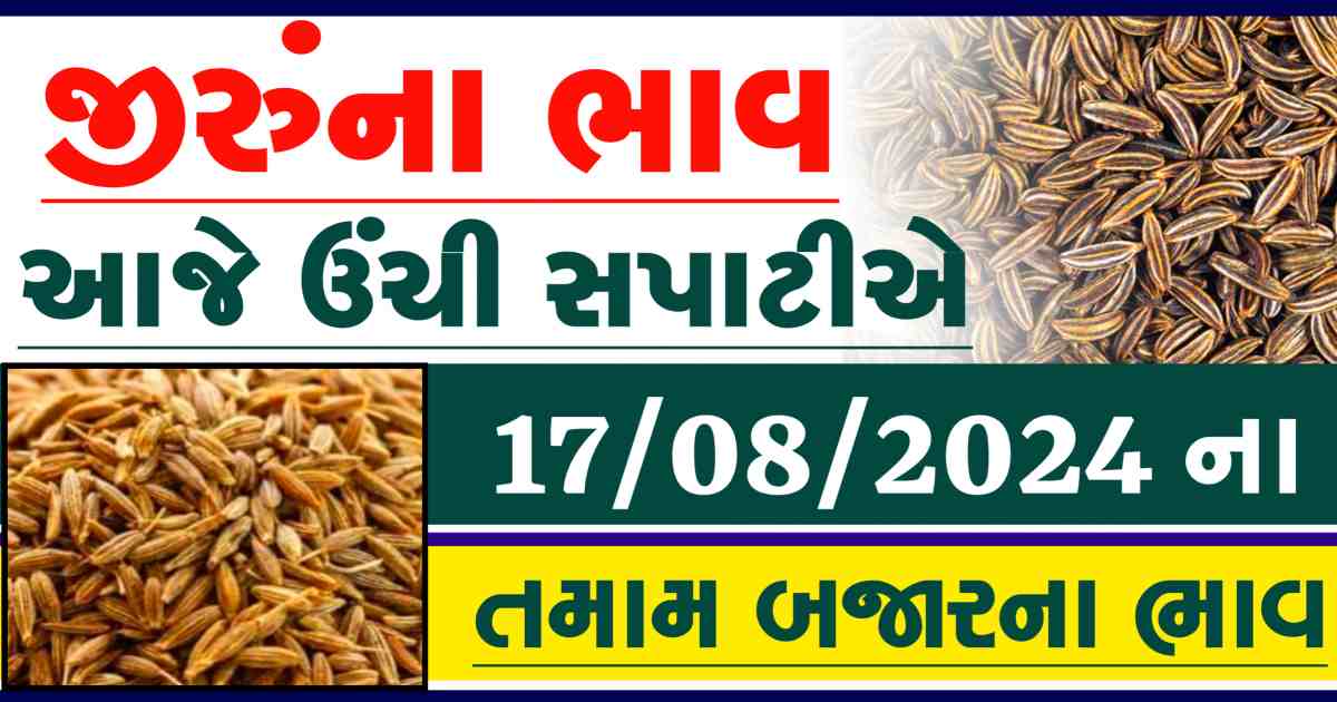 Jiru na bajar bhav 17 August