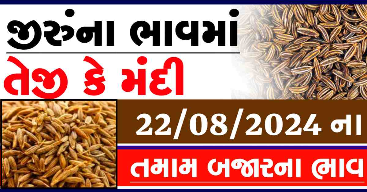 Jiru na bajar bhav 23 August