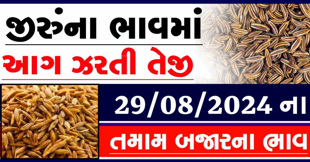 Jiru na bajar bhav 29 August