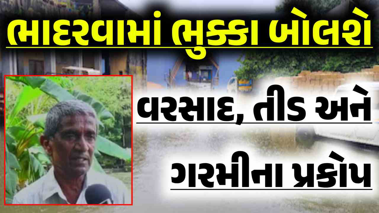 Rainfall in the month of Bhadwara