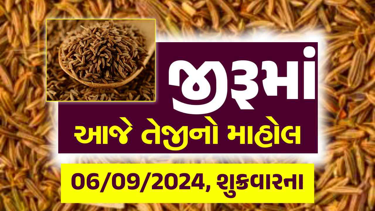 Jiru na bajar bhav 06 September