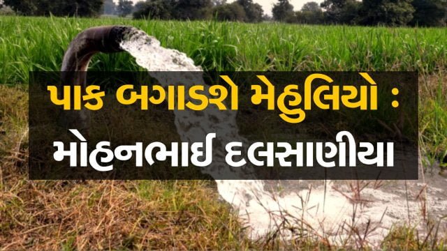 Mohanbhai Dalsania prediction