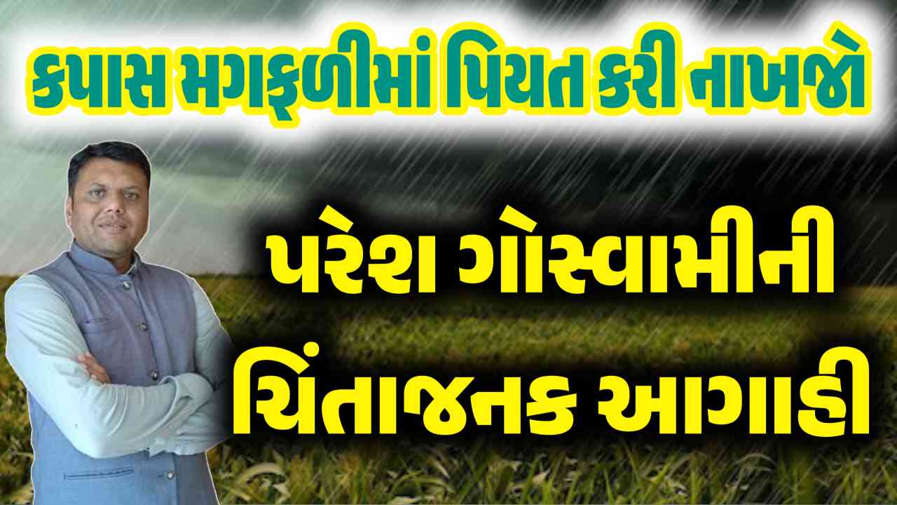 Paresh Gauswami today prediction