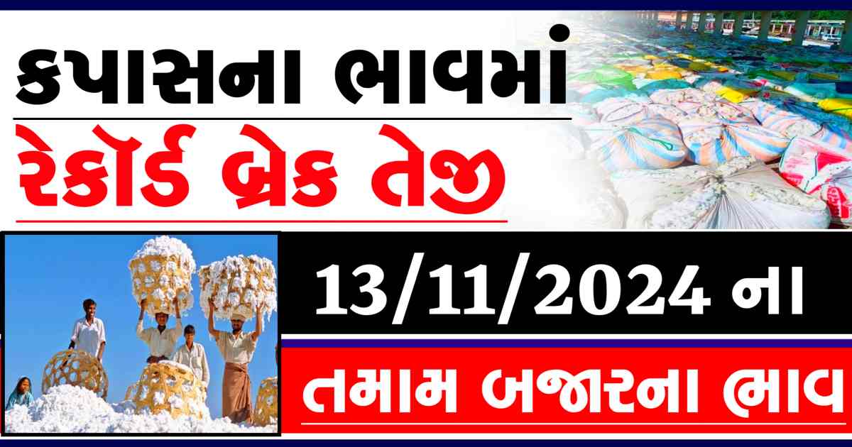 Kapas na bajar bhav 13 November 2024