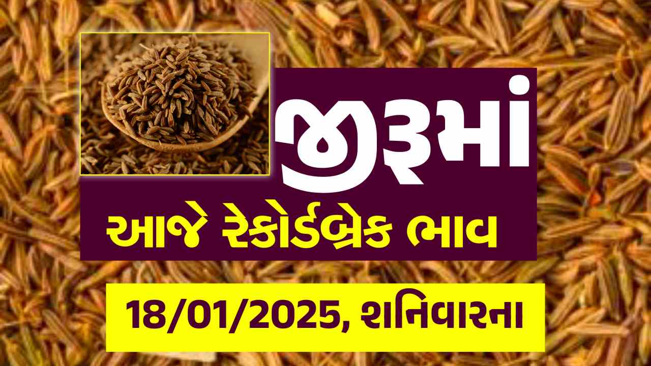 Jiru na bajar bhav 18/01