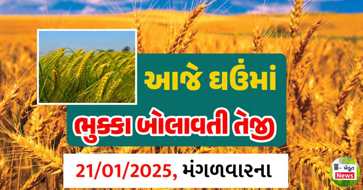 Ghau na bajar bhav 21 January