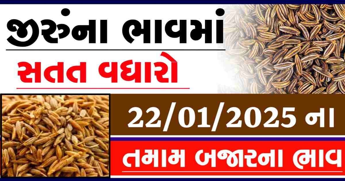 Jiru na bajar bhav 22 January