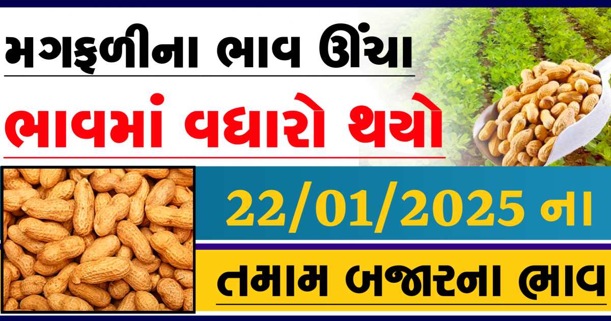 Magfali na bajar bhav