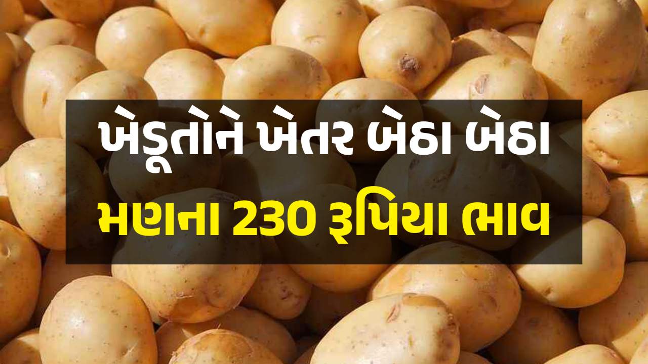 Potato Market