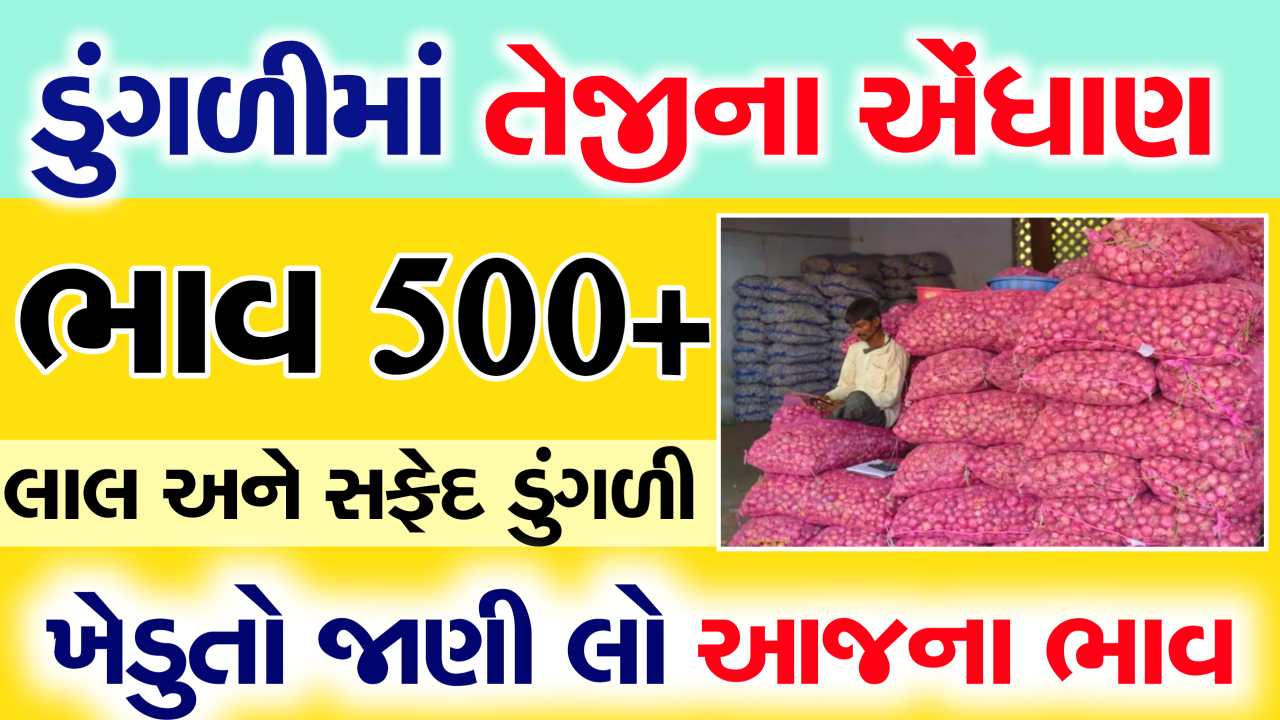 Onion price survey: