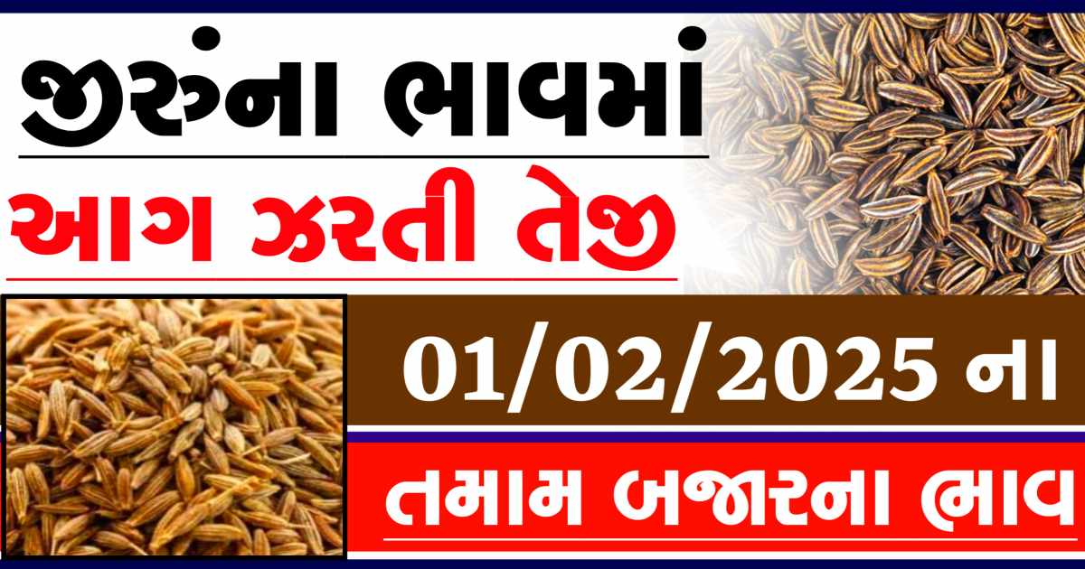 Jiru na bajar bhav 01 February