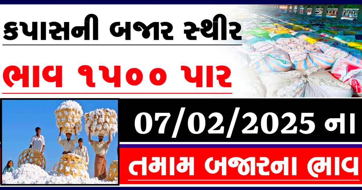 Today cotton Bazaar